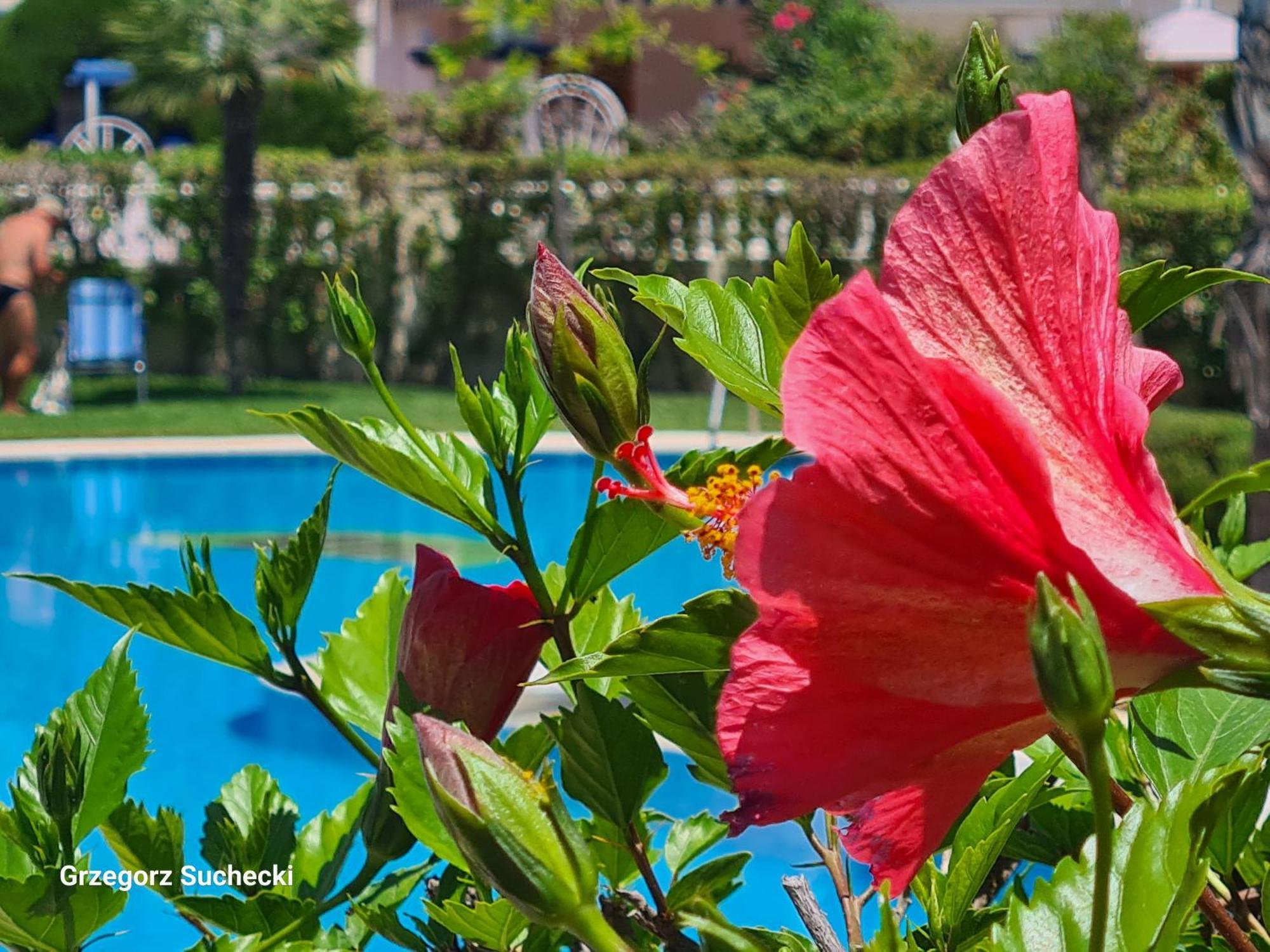Apartamento Parquemar Apartment ลามาตา ภายนอก รูปภาพ